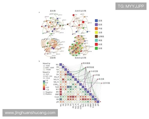 凯发体育备用平台多渠道登录方式及其优势分析